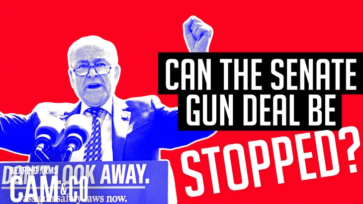 Can the Senate gun deal be stopped?