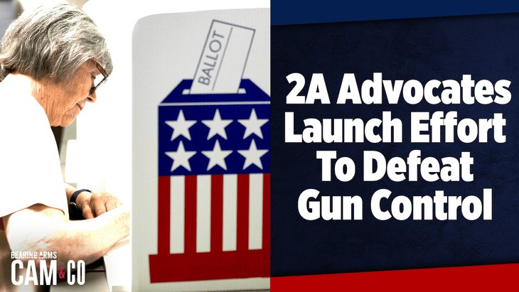 2A advocates launch effort to defeat gun control initiative