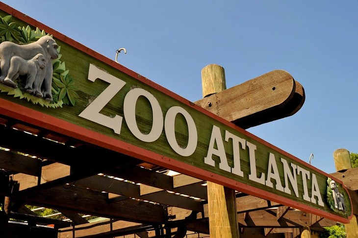 Activist challenges Zoo Atlanta gun ban