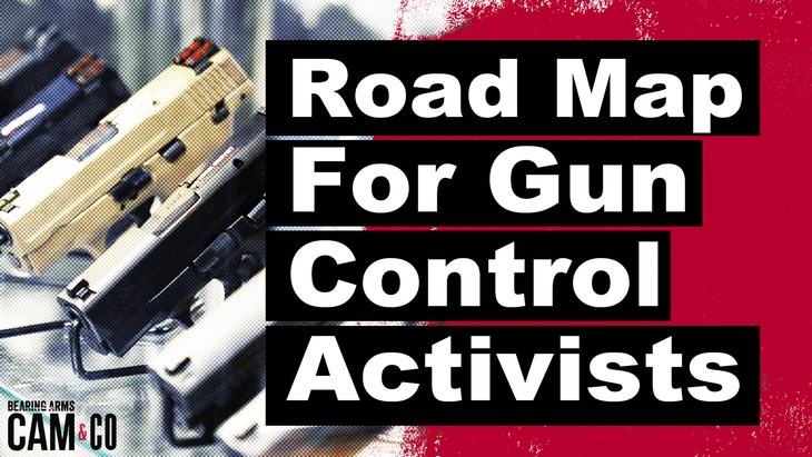RAND releases road map for gun control activists