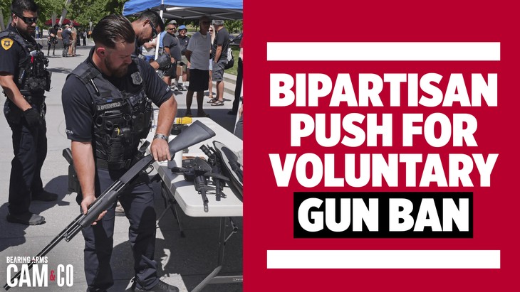 Bipartisan push for a voluntary gun ban