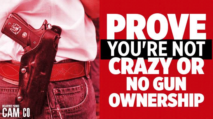 Prove you're not crazy or you can't own a gun?