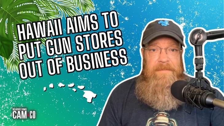 Hawaii's new "public nuisance" law aims to put gun makers out of business